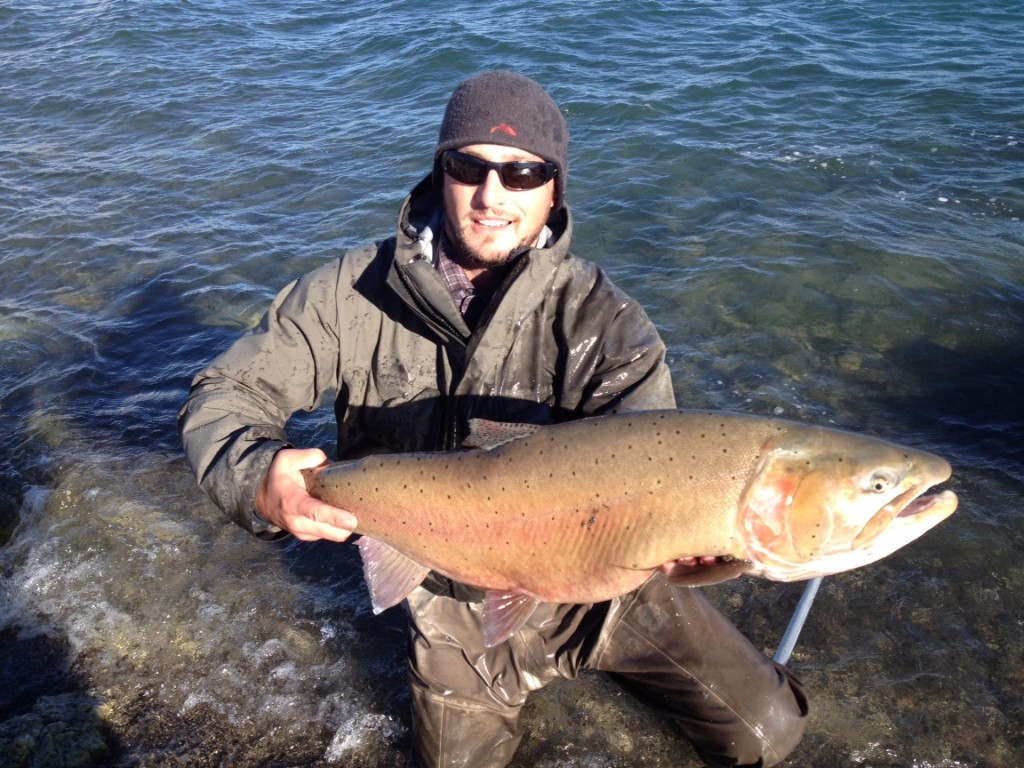 Pyramid Lake Lahontan Cutthroat Trout