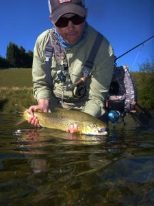 New Zealand Fly Fishing, brown trout