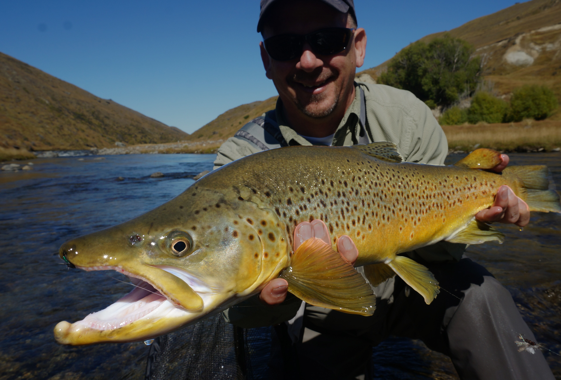 How to catch big brown trout fly fishing