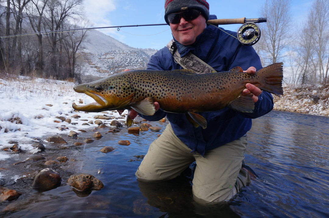 Big Brown Trout in the Winter